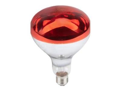 Lampen