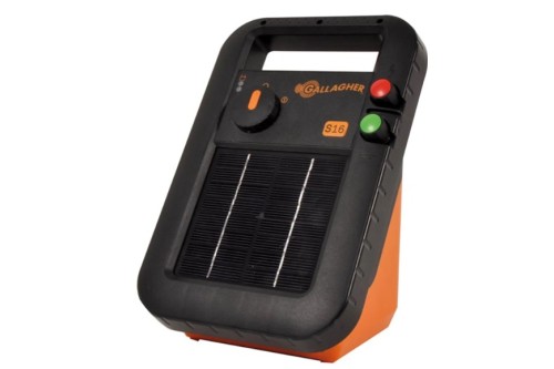 341316-11022025152208.jpg