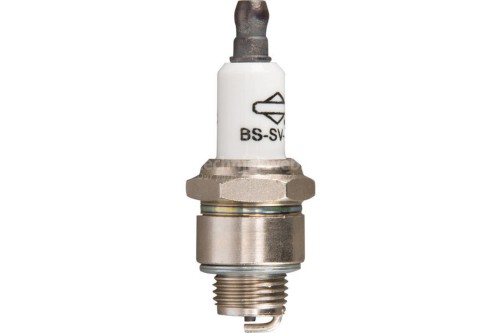 bssv-26022025170140.jpg