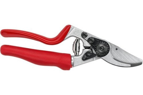felco10-11022025152806.jpg