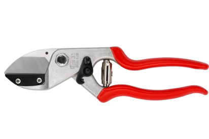 felco31-11022025152820.png