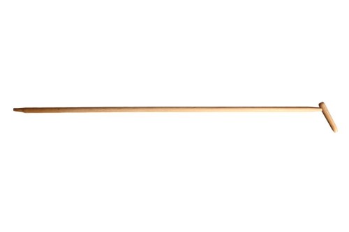 m107160-19022025160238.jpg