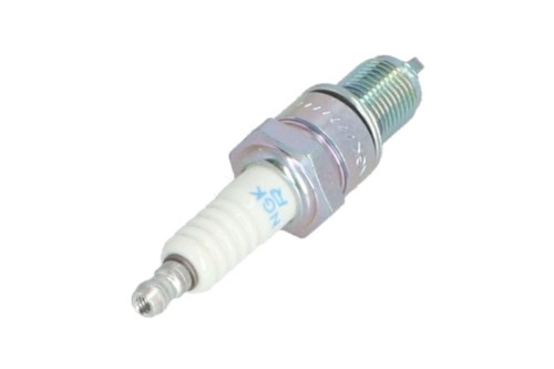 m802138-30052025110144.jpg