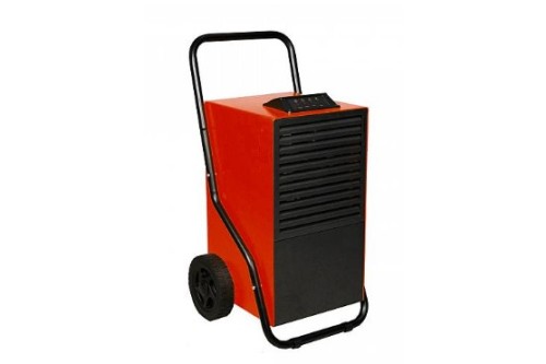 prodry96-11022025153034.jpg