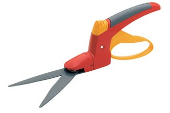 rill-02062025120201.jpg