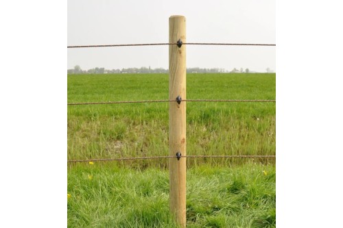 3725