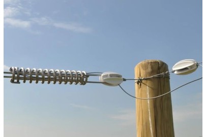 3775